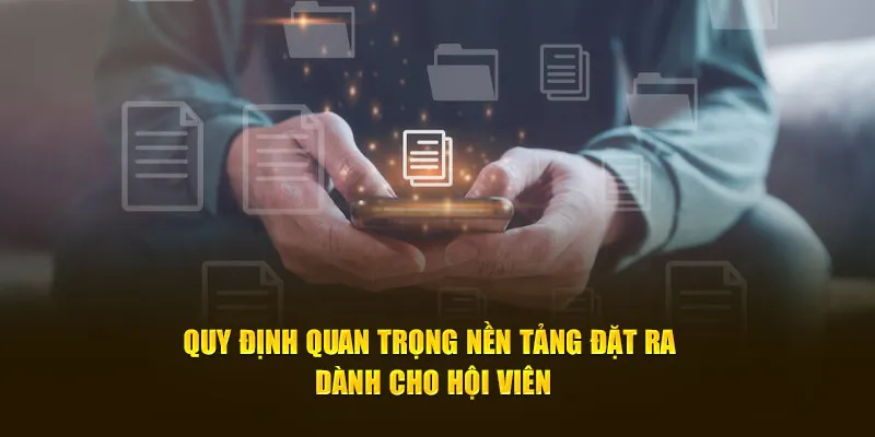 Quyền lợi hấp dẫn từ điều khoản điều kiện