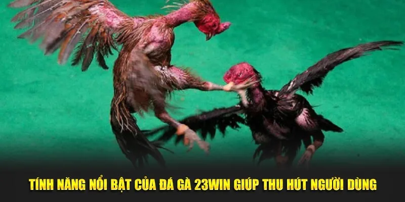 Đá gà 23win với sảnh game kịch tính